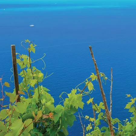 2 Bedroom Awesome In Casa de Férias Orebić