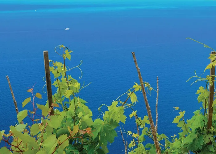 2 Bedroom Awesome In Σπίτι διακοπών Orebić